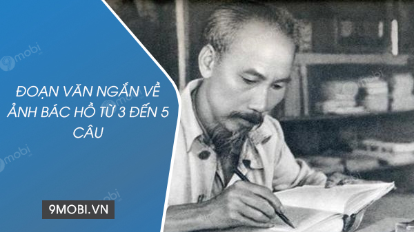 Đoạn văn ngắn về ảnh Bác Hồ từ 3 đến 5 câu