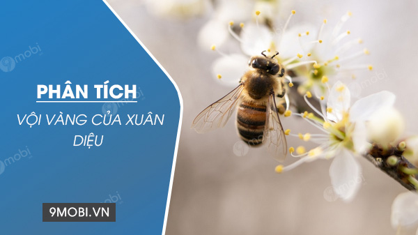 Phân tích Vội vàng của Xuân Diệu