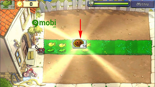 cach cai va choi plants vs zombies tren iphone 10