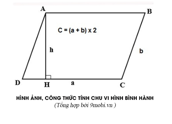 cach tinh chu vi hinh binh hanh 2