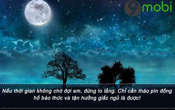 tin nhan loi chuc ngu ngon hai huoc lang man nhat 3